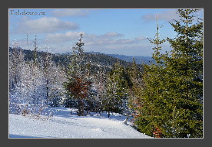 Pod Rozvodím, Špičák, Šumava