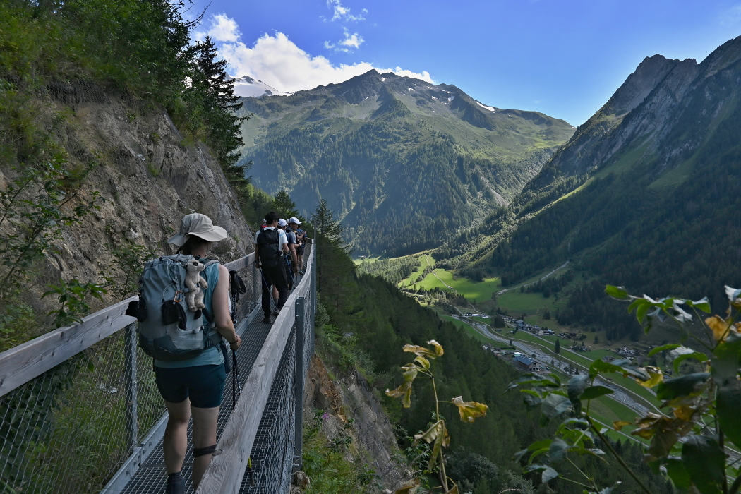 41_Sestup_do_Trientu_ze_sedla_Forclaz