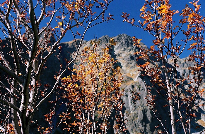 V. Tatry, podzim v Mengus. dolině