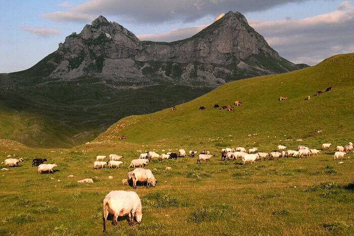 Durmitor, pod Sedlem